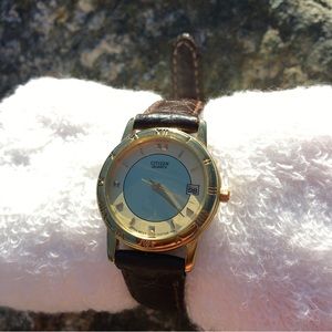Citizen Gold and Brown Women's Watch